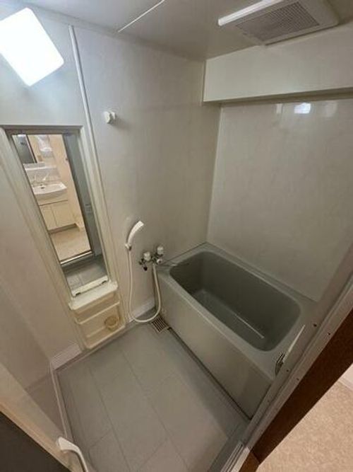 ルミエール201の風呂