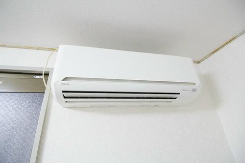 フォンタルトマトのその他画像