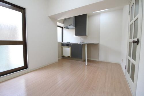 ルミエール大池102の内装