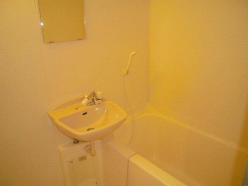 ハイツ田園103の風呂