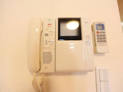 アンナマリーミズホのその他画像