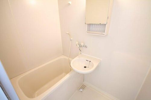 Hauska Talo Inabaの風呂