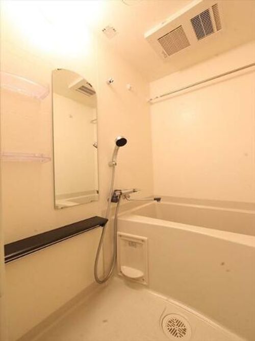 プレサンス丸の内リラティの風呂