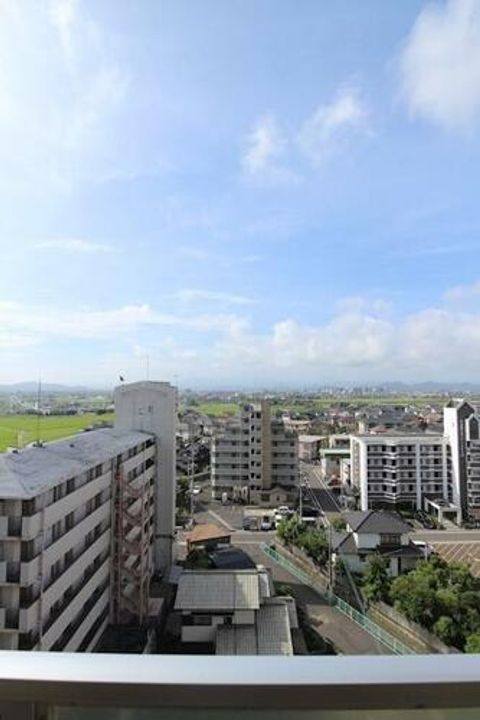 カリブのその他画像