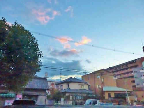 エクセール松原のその他画像