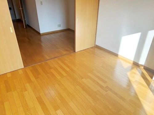 兵庫県尼崎市東園田町2丁目(マンション)の賃貸物件の内装