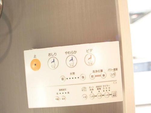 グリーン・ノアの内装