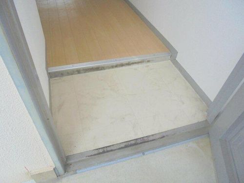 オスカー柳町の玄関