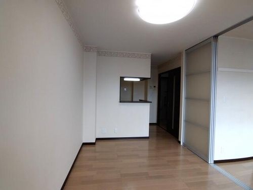 パナメゾンプレミアムの内装