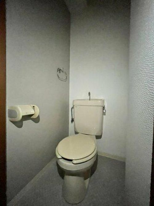 大阪府堺市中区深井水池町(マンション)の賃貸物件の内装