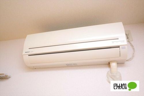 ユベリーアのその他画像