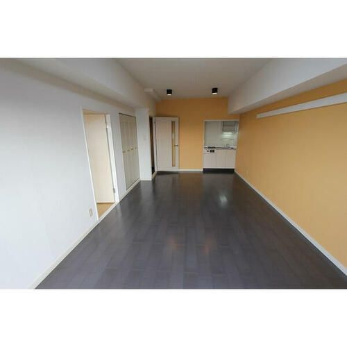 愛知県名古屋市南区柴田本通5丁目(マンション)の賃貸物件903の居間