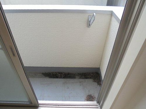 愛知県名古屋市北区田幡2丁目(アパート)の賃貸物件103の内装