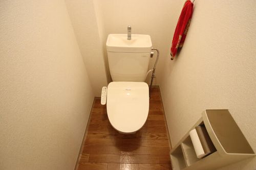 ヴェルドールアミH棟202の内装