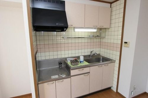 リス プランタンAのキッチン