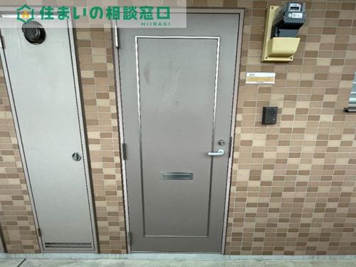 愛知県岡崎市井内町字上堤(マンション)の賃貸物件の玄関