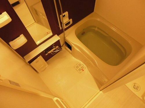 プレサンス栄ブリオの風呂