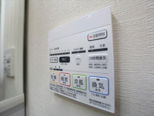 プラチナムのその他画像