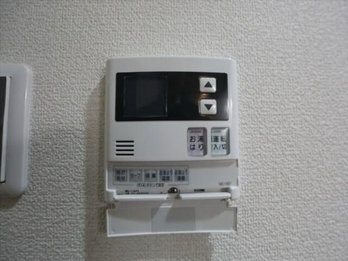 プラチナムのその他画像