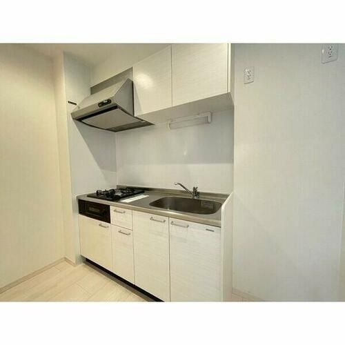 愛知県清須市西枇杷島町地領(アパート)の賃貸物件102のキッチン