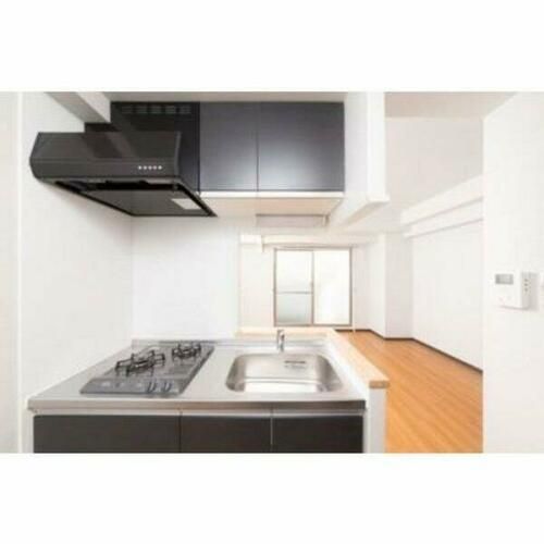 大阪府堺市東区白鷺町1丁(マンション)の賃貸物件のその他画像