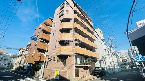 ハイパイル638の外観