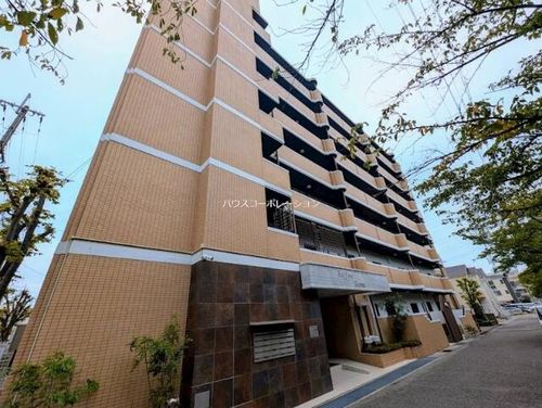 兵庫県尼崎市稲葉元町1丁目(マンション)の賃貸物件の外観