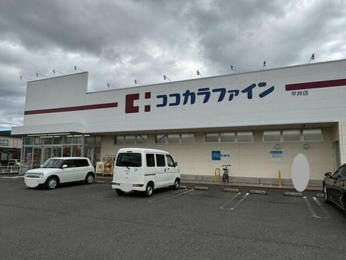 プリムローズ 野村のその他画像