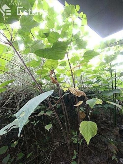 愛知県名古屋市守山区小幡北(アパート)の賃貸物件の内装
