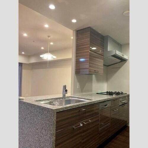 プラウド川名山ガーデンのキッチン