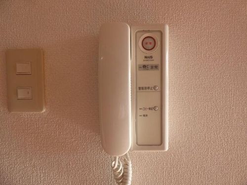 ホワイトロートスのその他画像