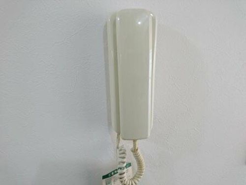 シード1のその他画像