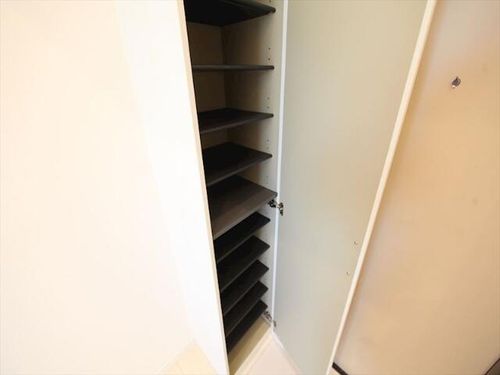 ルミエール十一番町の玄関