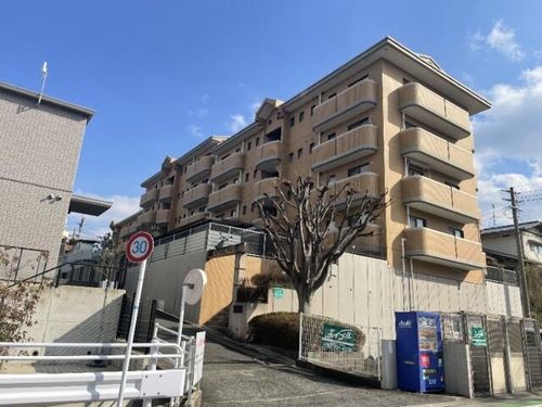 福岡県福岡市城南区樋井川4丁目(マンション)の賃貸物件の外観