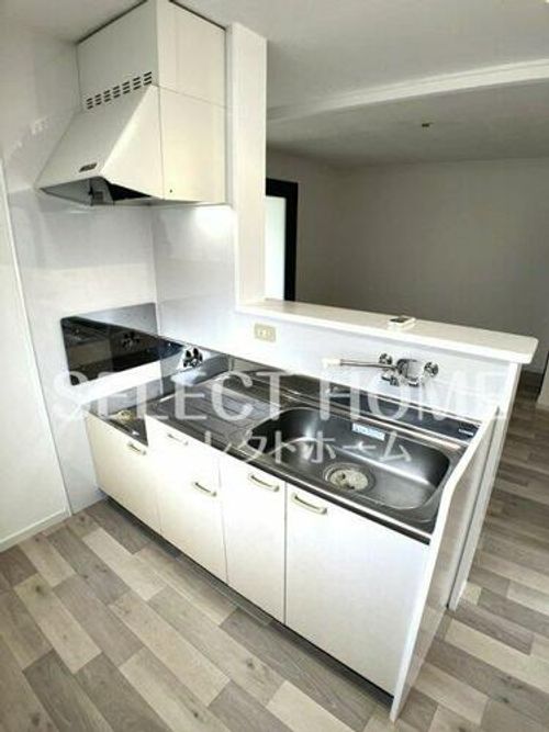 ベルメゾン鈴木101のキッチン