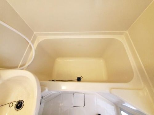 大阪府大阪市旭区新森2丁目(マンション)の賃貸物件の風呂