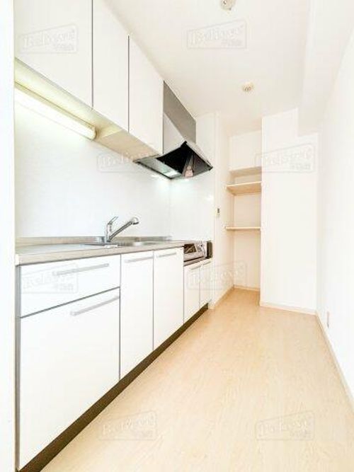 福岡県久留米市日ノ出町(マンション)の賃貸物件401のキッチン