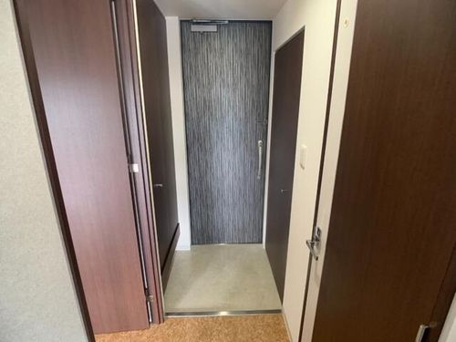 北海道札幌市中央区南九条西3丁目(マンション)の賃貸物件の玄関