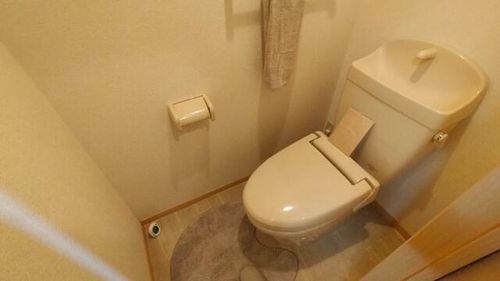 兵庫県川西市栄根2丁目(アパート)の賃貸物件の内装