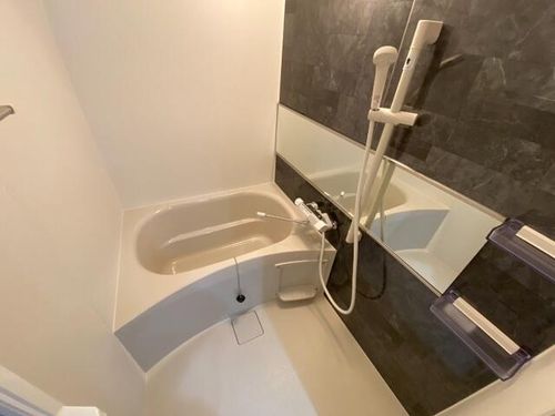 北海道札幌市中央区南十条西1丁目(マンション)の賃貸物件の風呂