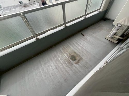 北海道札幌市中央区南十四条西1丁目(マンション)の賃貸物件の内装