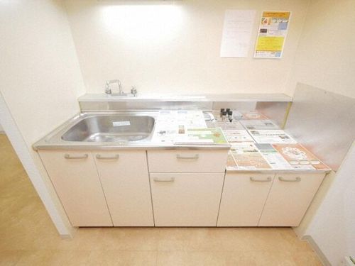 北海道札幌市西区二十四軒四条7丁目(マンション)の賃貸物件のキッチン