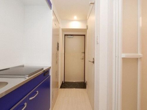 ルミエール花園Ⅱの玄関