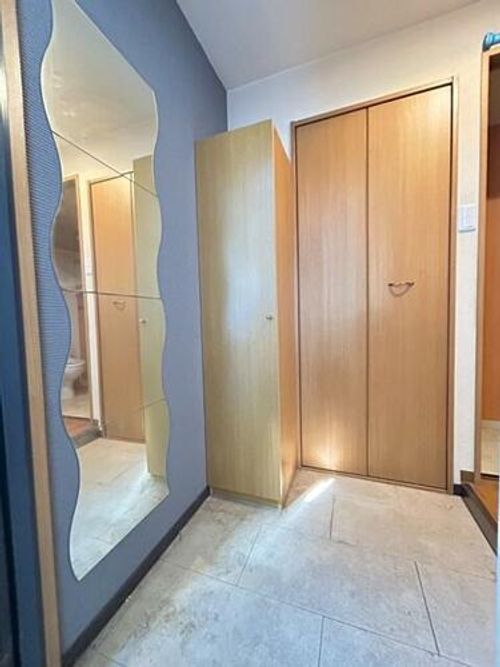 大阪府貝塚市福田(マンション)の賃貸物件の玄関