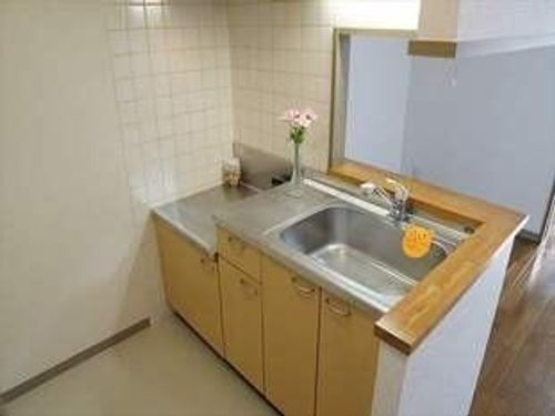 北海道札幌市中央区南三条西13丁目(マンション)の賃貸物件のキッチン