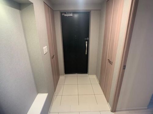 北海道札幌市中央区南一条西17丁目(マンション)の賃貸物件の玄関