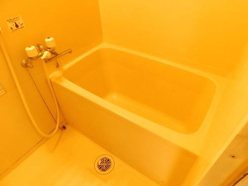 グランベル美園501の風呂