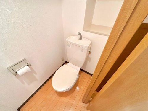 大阪府藤井寺市岡2丁目(マンション)の賃貸物件の内装