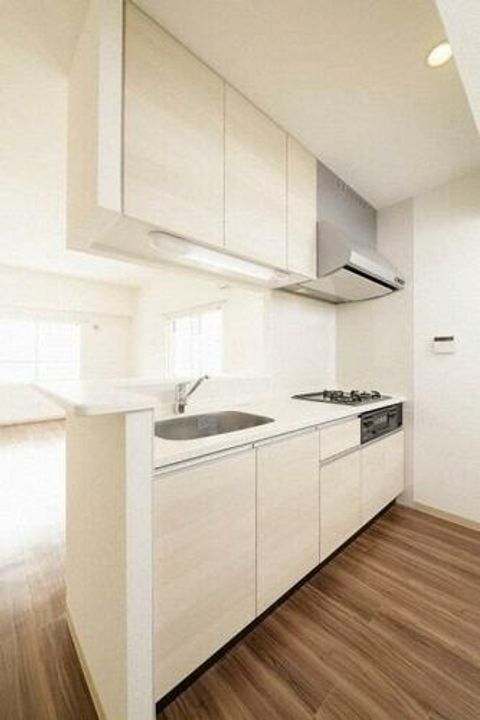 北海道札幌市中央区北十条西19丁目(マンション)の賃貸物件のキッチン