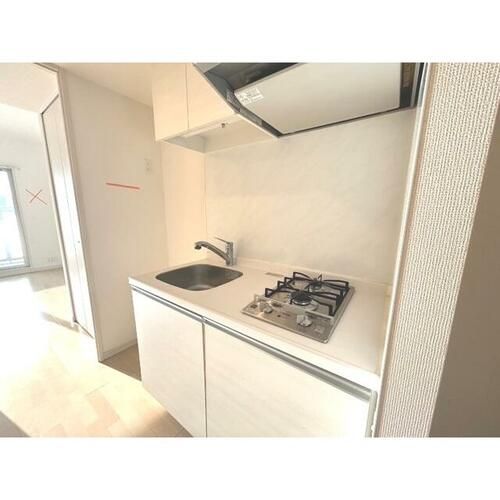 アドバンス大阪グロウスⅡのキッチン